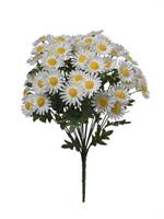 Bush Margherite x18 Bianco h 43 cm