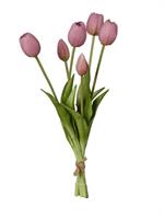 Mazzo Tulipano x6 Rosa Antico h 39 cm