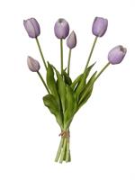 Mazzo Tulipano x6 Purple h 39 cm