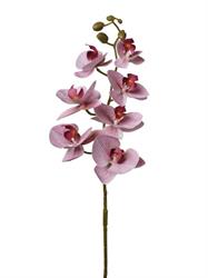 Ramo Phalenopsis Real Touch