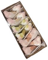 S/12 Uccellino C/Clip Assortito l 9 cm