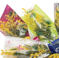 Coni Mimosa ST Chanelle 35MY 100PZ F/