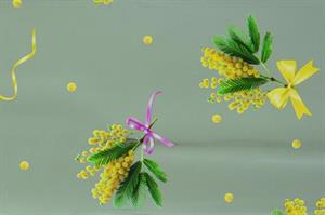 Coni Mimosa ST Chanelle 35MY 100PZ F/Argento h 30 cm l 17 cm