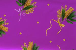 Coni Mimosa ST Chanelle 35MY 100PZ F/Ciclamino h 30 cm l 17 cm