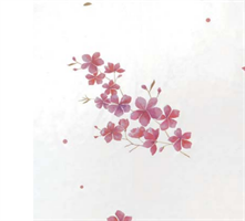 Fogli Cellophane ST Peach Flowers 50PZ 30MY h 100 cm l 130 cm