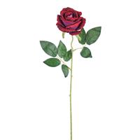 Ramo Rosa Juliet Bordeaux h 50 cm