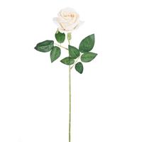 Ramo Rosa Juliet Crema h 50 cm