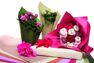 Bobina Perl FP2L 60MY Elite