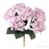 Bush Mini Ortensia x6 Rosa