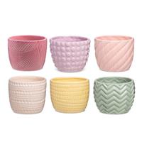 Caspo Ceramica Mixed Assortito h 10 cm Ø 12 cm