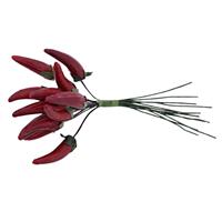 Mazzetto x 12 Peperoncino Rosso Ø 3 cm