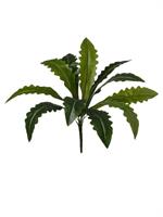 Bush Dracena x11 Verde h 40 cm
