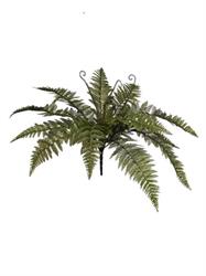 Bush Felce x15 Verde h 70 cm