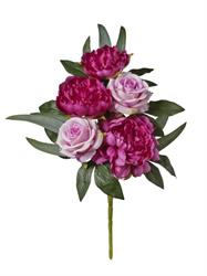 Bush Frontale Rose/Peonie x5