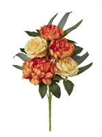 Bush Frontale Rose/Peonie x5 Arancio h 43 cm