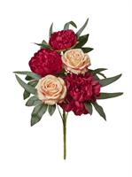 Bush Frontale Rose/Peonie x5 Rosso h 43 cm