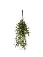 Bush Cadente Semini Verde h 68 cm
