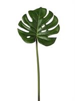 Ramo Foglia Monstera Verde h 70 cm Ø 25 cm