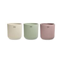 Caspo' Ceramica Narciso Assortito h 13 cm Ø 13 cm