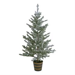 Albero C/Vaso