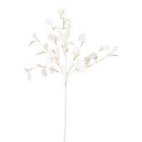 Ramo Eucalypto Glossy Bianco