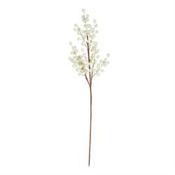 Ramo Bacche Crema h 67 cm
