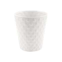 Vaso Orchidea Bolle