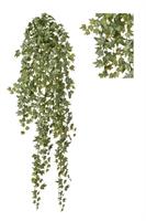 Bush Edera Cadente C/479F