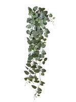Bush Fittonia Cadente C/213F h 150 cm