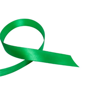 Nastro Doppio Raso Dark Green h 3.8 cm l 50 mt